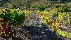 Wine estate - for sale - Douro Valley - Portugal