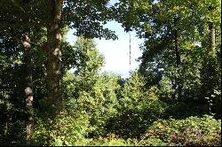 Lot 2 Hawks Ridge Dr, Whittier NC 28789