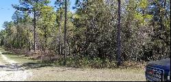 Tbd SW 131st Terrace, Dunnellon FL 34432