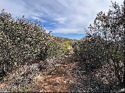 000 Chaparral Way Lot 55, Poway, CA 92064