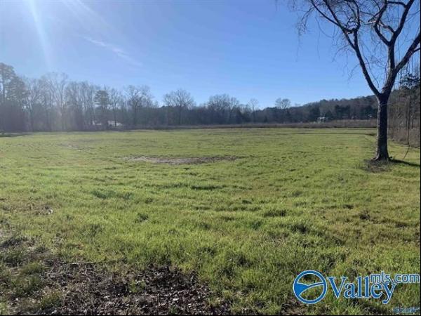 2.92 Acres Rock Store Road, Guntersville AL 35976