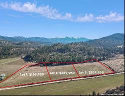 000 Skok Rd, Chewelah WA 99109