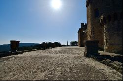 Castle on the Rhone river