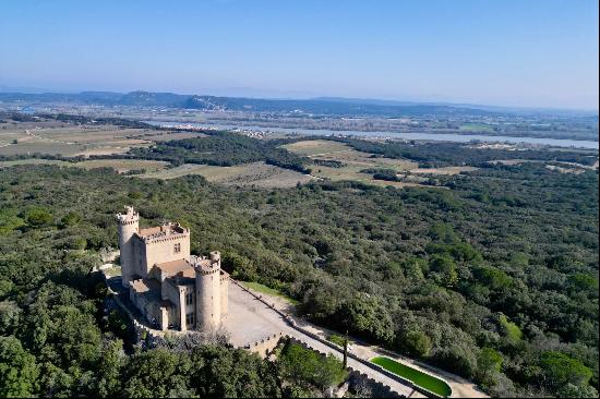 Castle on the Rhone river