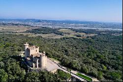 Castle on the Rhone river