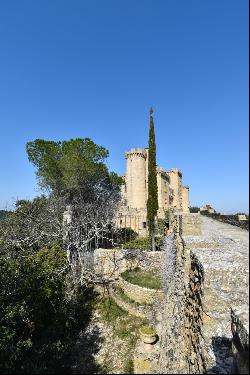 Castle on the Rhone river