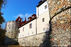 Renaissance Manor House, Skycov, ID: 0105