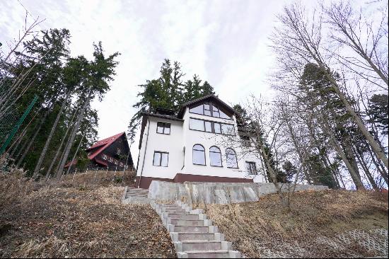 The Holiday House under the Fir Trees