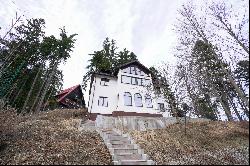 The Holiday House under the Fir Trees