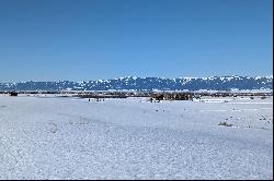 Snow Crest Ranch Drive