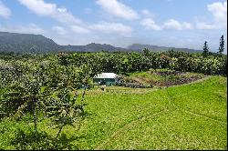 Kipahulu Oceanfront Home with Big Island and Haleakala Views