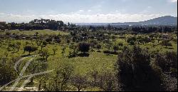 Project including license for an estate with 360 view and vineyard possibility