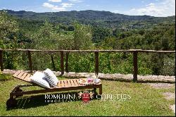 Tuscany - ESTATE WITH RENOVATED FARMHOUSE FOR SALE IN A PANORAMIC POSITION IN AREZZO