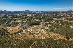 THE STANDING OIL AND WINE ESTATE - PDO BANDOL