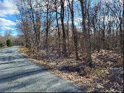 Rabbit Run Road, Clintondale NY 12515