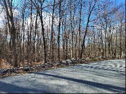 Rabbit Road, Clintondale NY 12515