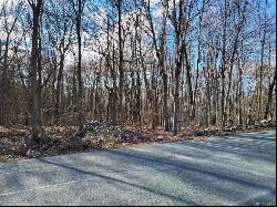 Rabbit Run Road, Clintondale NY 12515