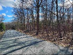 Rabbit Run Road, Clintondale NY 12515