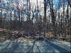 Rabbit Run Road, Clintondale NY 12515