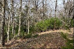 CRAIGS FOREST - BLOWING ROCK