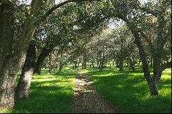 Paradise:156 Acre Ranch in Santa Barbara