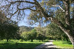 Paradise:156 Acre Ranch in Santa Barbara