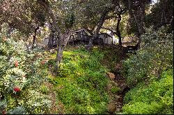 Paradise:156 Acre Ranch in Santa Barbara