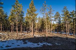 62979 Ostrom Drive #Lot 24 Bend, OR 97703