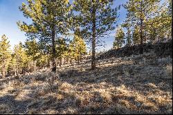 Ostrom Drive #Lot 53 Bend, OR 97703