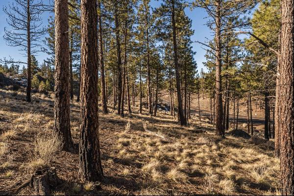 Ostrom Drive #Lot 53 Bend, OR 97703