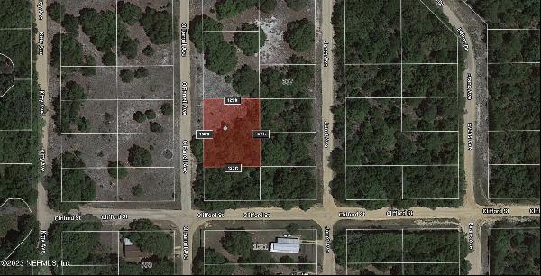 Lot 9 & 10 O'Farrell Avenue, Interlachen FL 32148