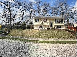 270 W Louis Ave, Galloway Township NJ 08215