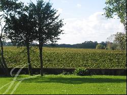 40 min. from Bordeaux - Château Viticole - John Taylor
