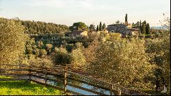 Organic farm il Biologico, Castelnuovo Berardenga, Chianti – Toscana