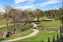 Golf Course Living: Fort Worth Gem, Incredible Views