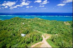 0.127 Ocean View Lot in Milton Bight