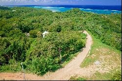 0.127 Ocean View Lot in Milton Bight