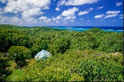 0.127 Ocean View Lot in Milton Bight