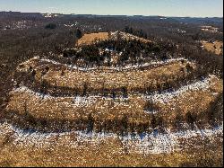 Idyllic Hillside Retreat: Build Your Dream Home, Weekend Getaway or Organic Farm