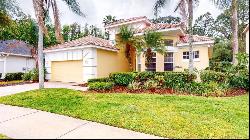 10423 Canary Isle Drive, TAMPA, FL, 33647