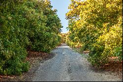 Avo Vista Farm