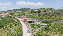 Property with vineyards and swimming pool, in Provesende, Douro Valley, Portugal