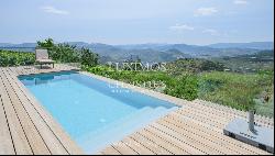 Property with vineyards and swimming pool, in Provesende, Douro Valley, Portugal