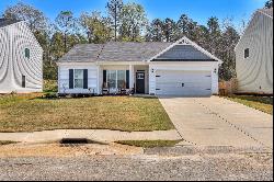 331 Brass Court, Trenton SC 29847