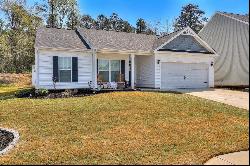 331 Brass Court, Trenton SC 29847