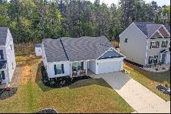 331 Brass Court, Trenton SC 29847