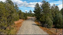 Lot 21 Los Nidos Lane, Pecos NM 87552