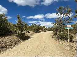 0 Pinon Trail, Taos NM 87571