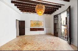 Newly refurbished duplex penthouse loft with terrace in the old town of Palma,