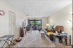 LAFAYETTE SQUARE CONDO